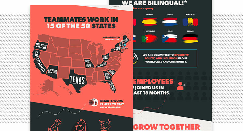 Imarc Career Infographic